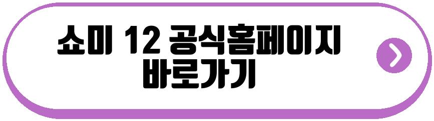 쇼미 12