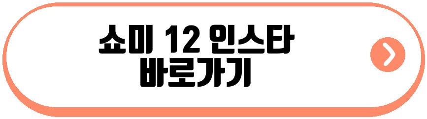 쇼미 12