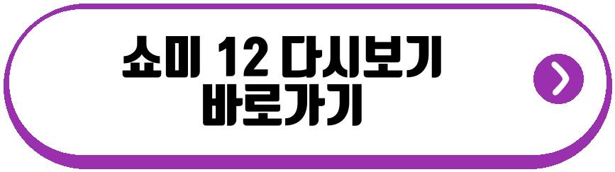 쇼미 12