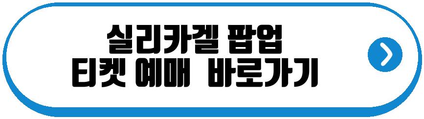 실리카겔 팝업