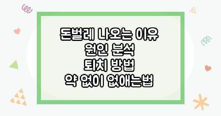 돈벌레 나오는 이유 원인
