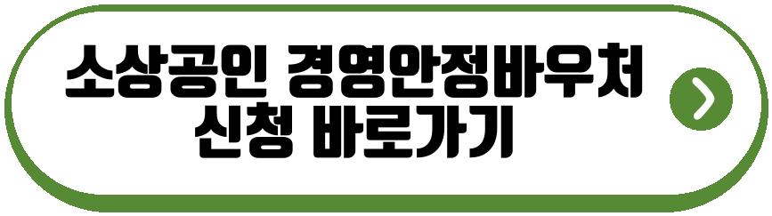 소상공인 경영안정바우처