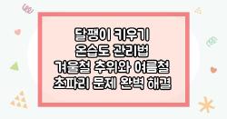 달팽이 키우기 온습도 관리법 겨울철 추위와 여름철 초파리 문제 완벽 해결