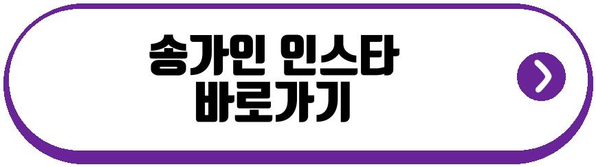 송가인 베트남 콘서트