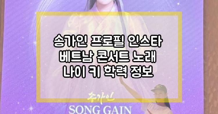 송가인 베트남 콘서트