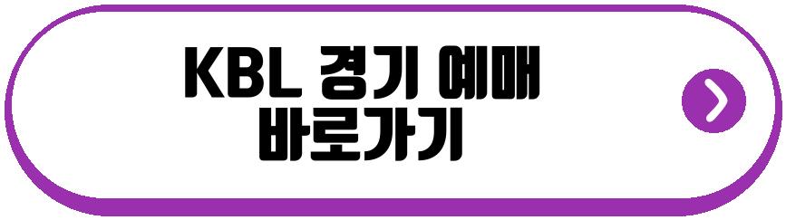 소노 첫 챔프전