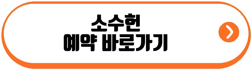 소수헌