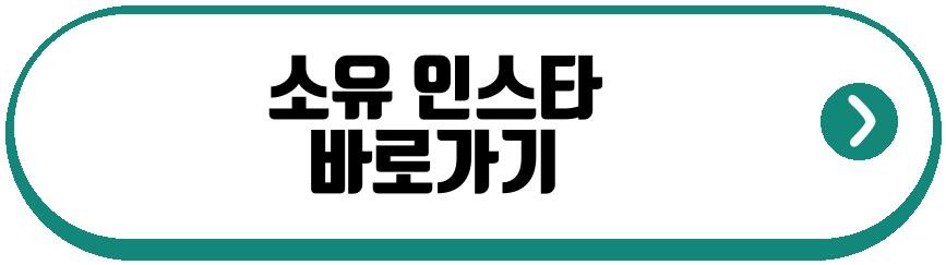 소유 집공개