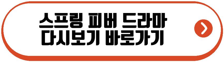 스프링 피버 드라마