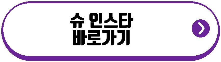슈 쌍둥이