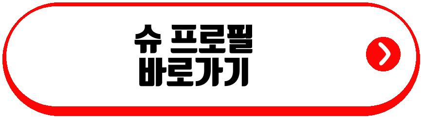 슈 쌍둥이
