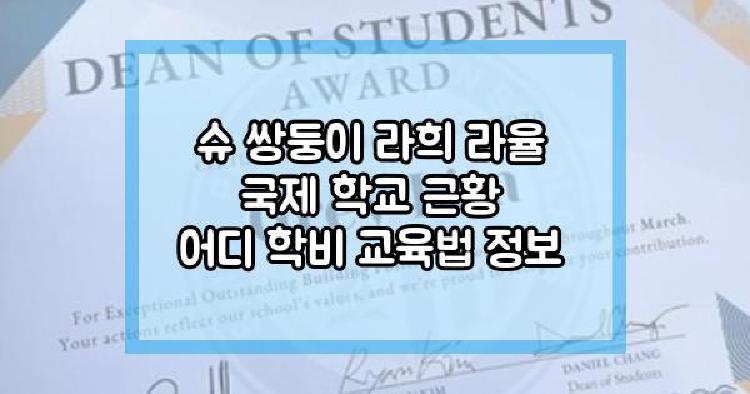 슈 쌍둥이