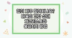 잎이 자꾸 떨어지나요? 다육이 건강 상태 체크리스트와 응급처치 방법