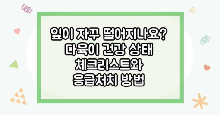 다육이키우는법 잎이