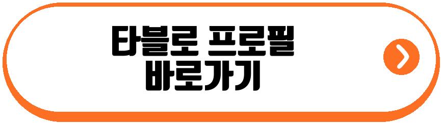 타블로 운전면허