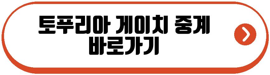 토푸리아 게이치
