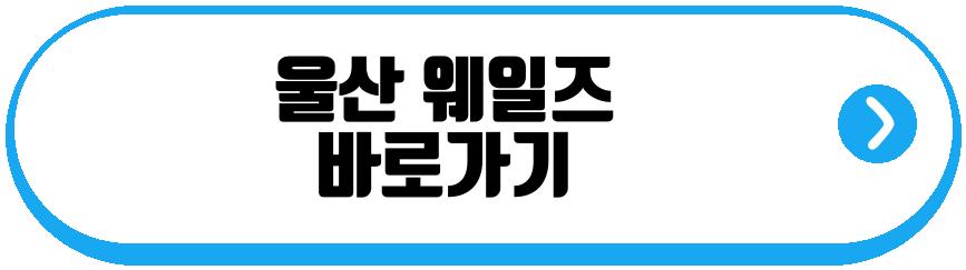 울산 웨일즈