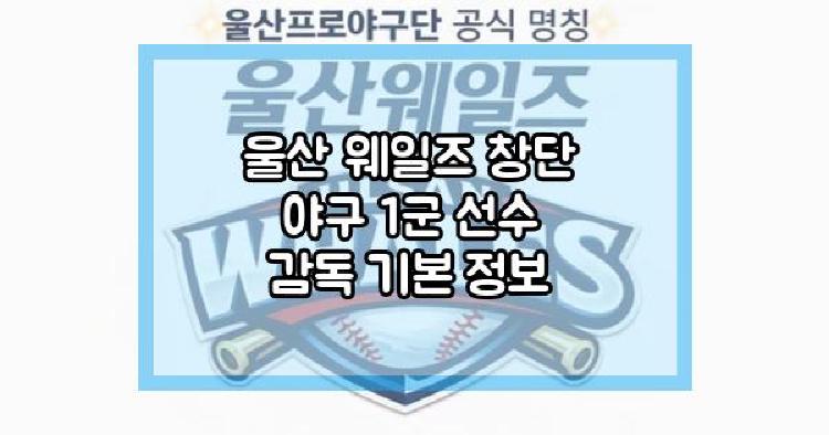 울산 웨일즈