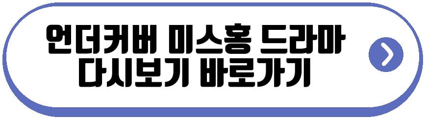 언더커버 미스홍 드라마