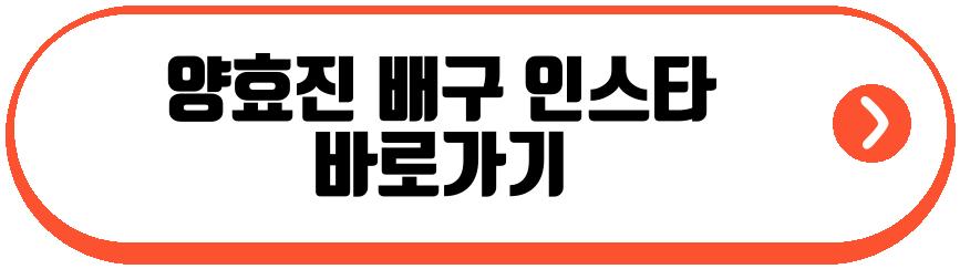 양효진 배구 코트 은퇴 선언