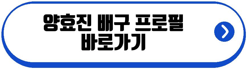 양효진 배구 코트 은퇴 선언