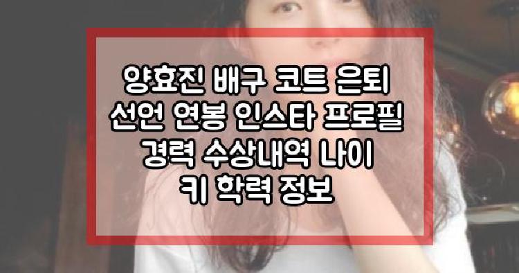 양효진 배구 코트 은퇴 선언