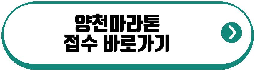 양천마라톤
