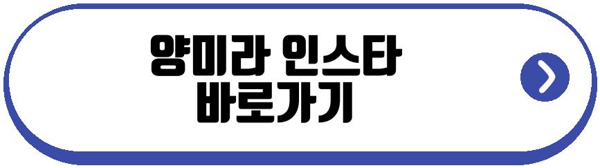 양미라 남편