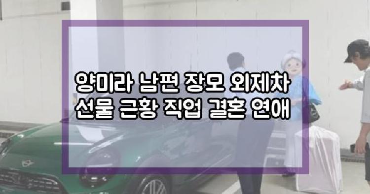 양미라 남편