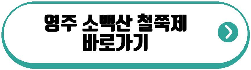 영주 소백산 철쭉제